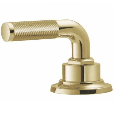 Polished Brass Uncoated Handle