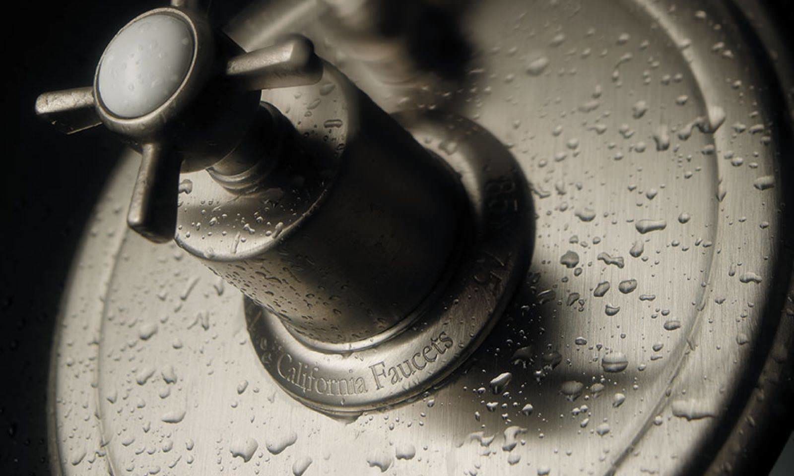 close-up of pressure balance shower trim